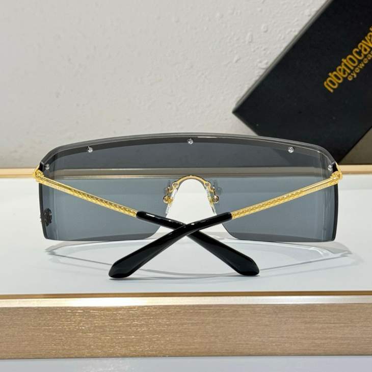 Picture of Roberto Cavalli Sunglasses _SKUfw69412571fw